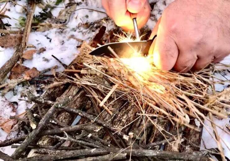 Découvrez comment utiliser l'écorce d'arbre pour la survie à https://survivallife.com/tree-bark/