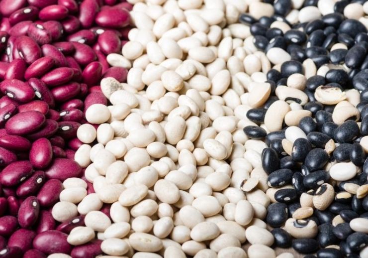Découvrez 37 aliments de survie à stocker pour toute catastrophe sur https://survivallife.com/foods-to-stock-up-on/