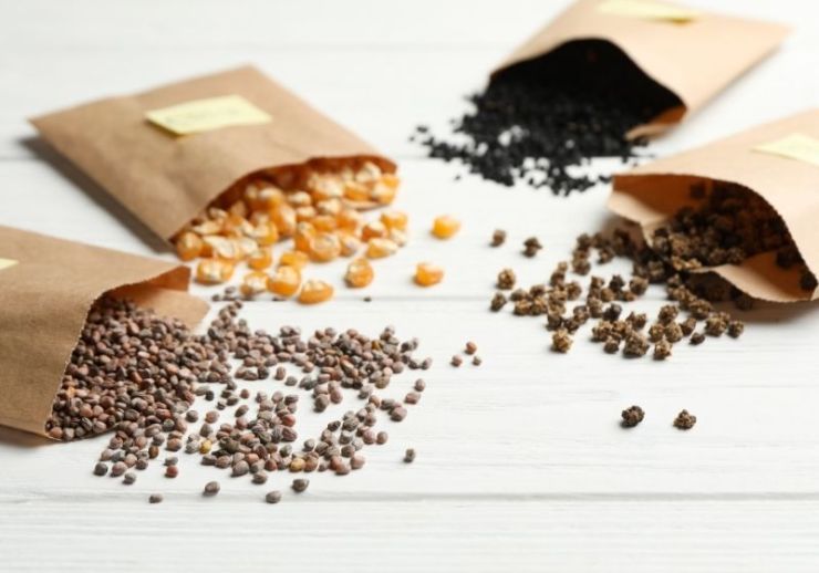 Découvrez 37 aliments de survie à stocker pour toute catastrophe sur https://survivallife.com/foods-to-stock-up-on/