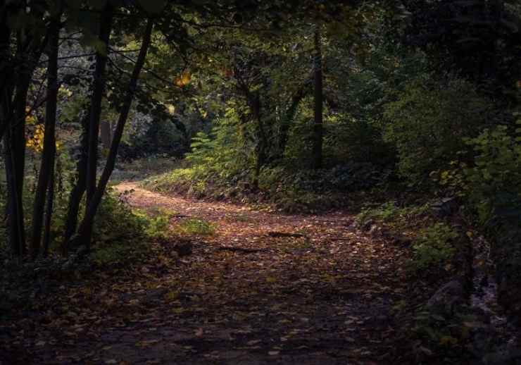 Consultez la liste des meilleures randonnées aux États-Unis pour votre 2021 à https://survivallife.com/best-hikes-in-the-us/
