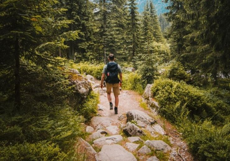 Consultez la liste des meilleures randonnées aux États-Unis pour votre 2021 à https://survivallife.com/best-hikes-in-the-us/
