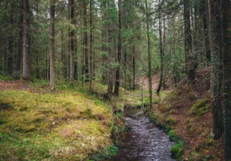 Consultez la liste des meilleures randonnées aux États-Unis pour votre 2021 à https://survivallife.com/best-hikes-in-the-us/