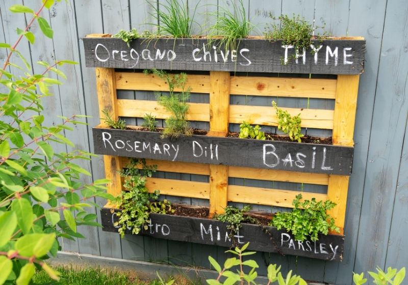 Jardinière d'herbes en bois créative faite de palettes en bois | idées de meubles de jardin upcycling