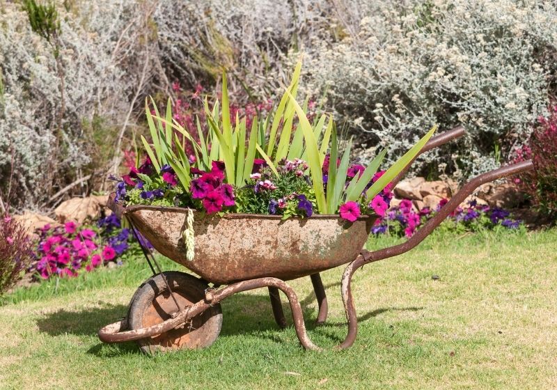 Nouvelle utilisation pour une vieille brouette | idées de recyclage jardin
