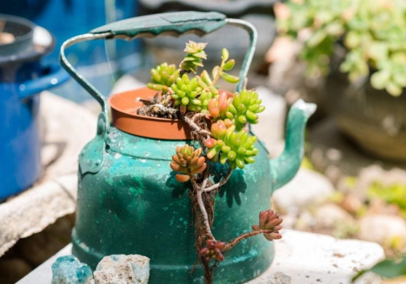 Idées de jardinières réutilisées | idées de jardin upcycling