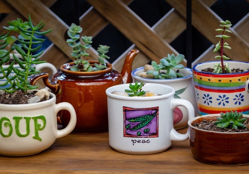 Véritable marmite de cuisine réutilisée, recyclée et réutilisée | 17 idées de jardin recyclées pour décorer votre jardin tout en sauvant la Terre Mère
