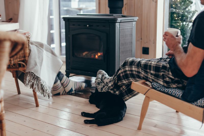 Family-cat-relaxing-fauteuil-par-feu Chauffage d'urgence 